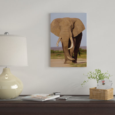 «African Elephant Bull Amboseli National Park Kenya», reproduction de photo sur toile