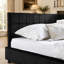 Cadre de lit capitonné Queen Size, canapé-lit avec dossier et accoudoirs confortables pour la chambre et le salon-1751387784