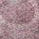 Premium Machine Washable Lubbers AMF1740 Border Rug