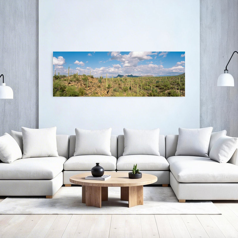 Saguaro National Park, Tucson, Az, États-Unis, H 20 po x l 60 po