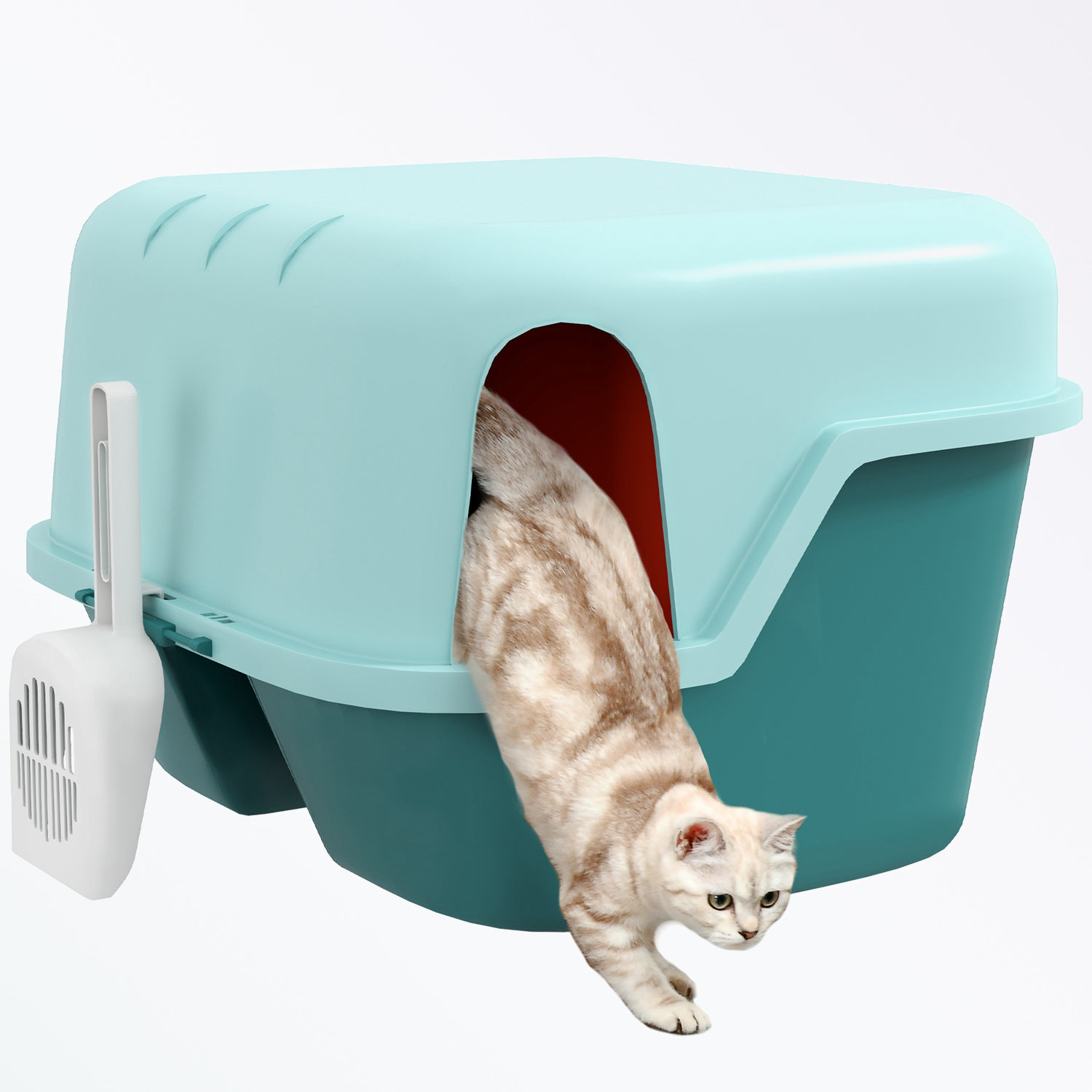 Tucker Murphy Pet™ Cat Litter Box with Scoop, Easy to Clean Openable  Cover, Green Wayfair - Main Image