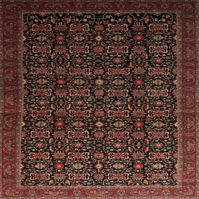 Agora Indoor Rug