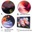 Hibiscus vibrant dans l'allure tropicale I-65209420-65209429
