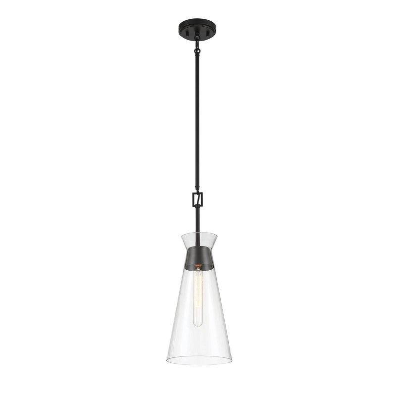 Luminaire suspendu 1 lumière Savoy House Lakewood en noir mat, Noir mat