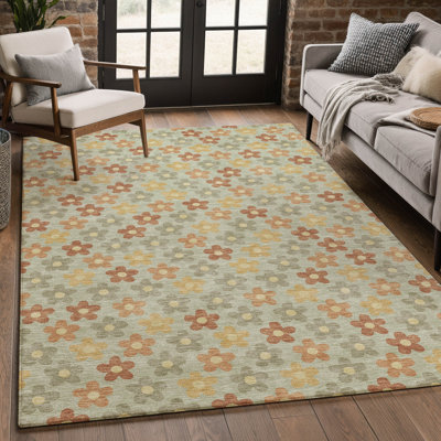 Machine Washable Indoor/Outdoor Chantille ACN2569 Kids Rug