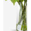 Cultivated Interiors Functional Beauty Arrangement-1263425539