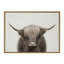 «Hey Dude Highland Cow Color» par The Creative Bunch Studio, reproduction d'art sur toile encadrée-2043256345-2121462491