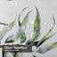 Aquarelle, flamant rose, anémone, oiseaux exotiques, feuilles d'eucalyptus avec 12 crochets-2083001503