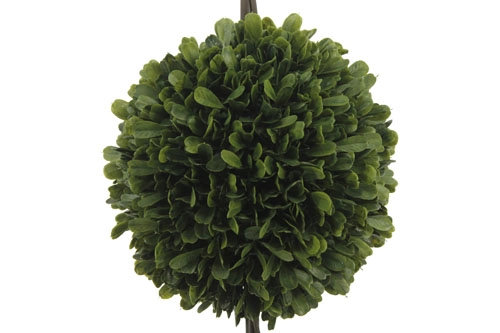 24" Artificial Boxwood Plant in Topiary Pot