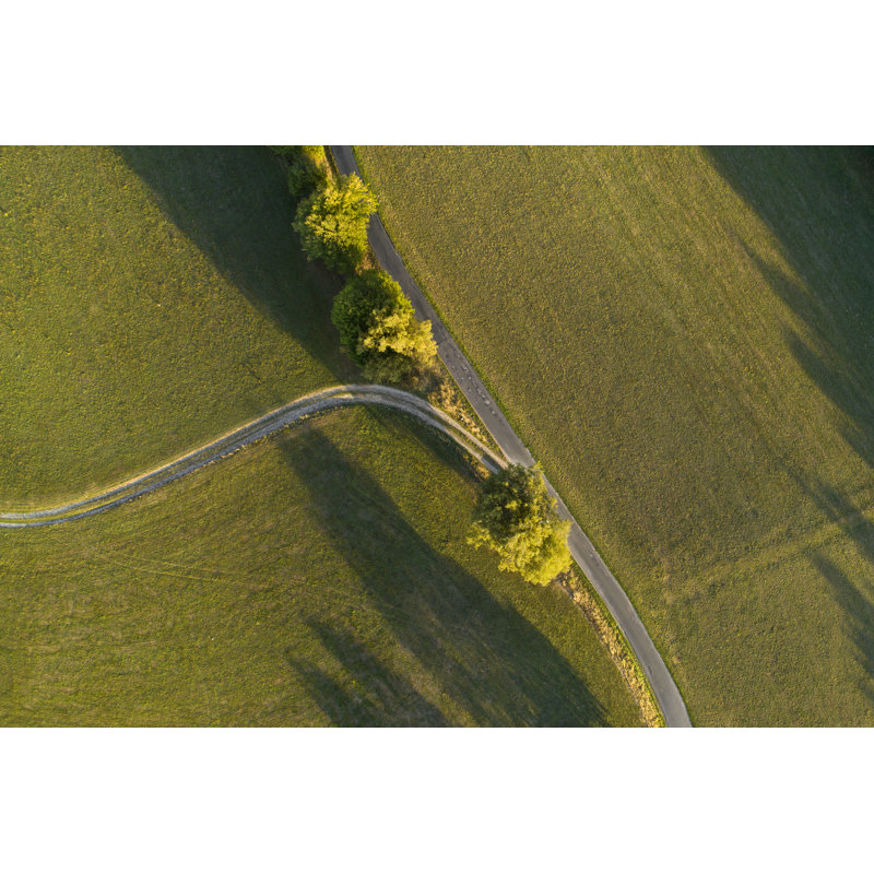 Fork In A Road by Ollo - Wrapped Canvas Print, 81cm H x 122cm W