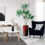 66 plantes-97701527