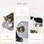 5Pcs Cat Wall Shelves, Pet Wall-Mounted Climbing Shelf Set, Kitten Activity Centre With Condo, Cushion, Scratching Post, Jumping Platform, Brown