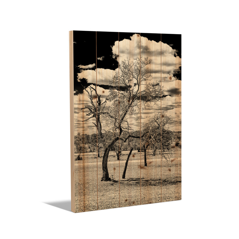 Reproduction d'art mural en bois - Arbre mort dans la savane africaine par Philippe Hugonnard, H 26 po x l 18 po