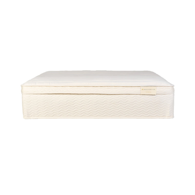The Oxford 2.0 Plush- 13" Organic, Full