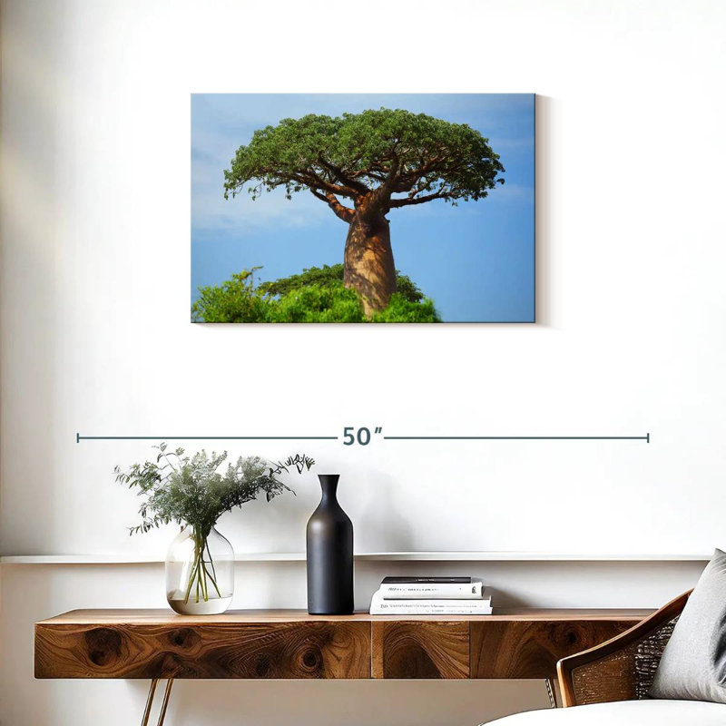 Baobab africain, H 20 po x l 30 po