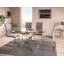 Anntoinette Glass Top Metal Base Dining Table