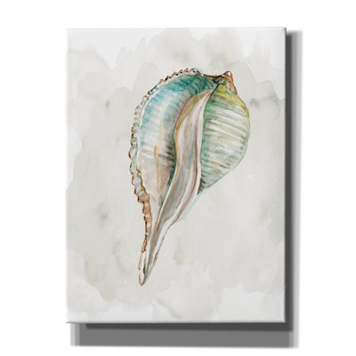 «Pastel Shell I» par Carol Robinson