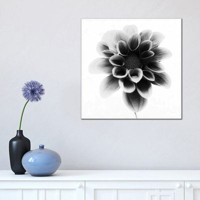 Dahlia 1 Piece Wrapped Canvas Wall Art