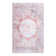 Oriental Indoor Rug