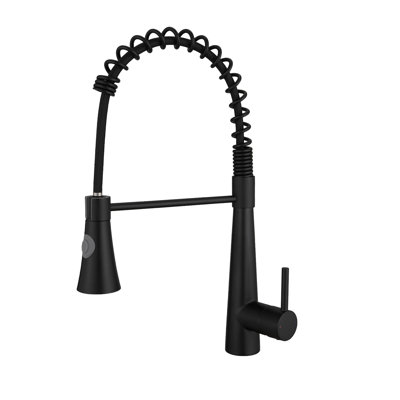 Single Handle Pull Out Kitchen Faucet In Dual Function Modes