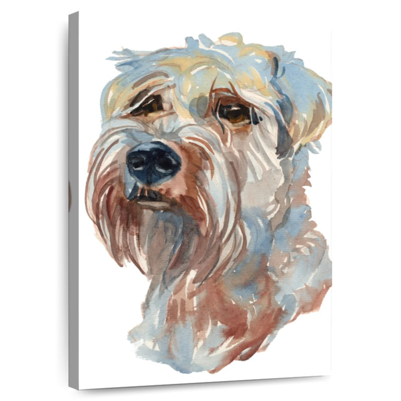 Brampt Wheaten Terrier, 39" H x 26" W