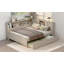 Lit de jour double en bois avec tablettes de rangement et lit gigogne