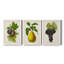 Antique Fruit VI - ensemble de 3 reproductions d'art sur toile-1071139948-1071139947