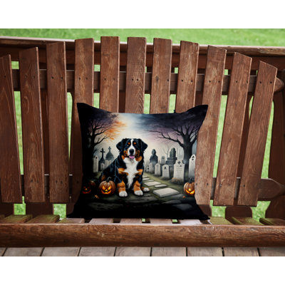 Outdoor Throw Pillow