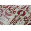 Ikat One-of-a-Kind 7'9" X 10'3" Area Rug