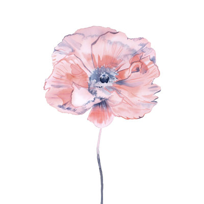 Poppy No. 7