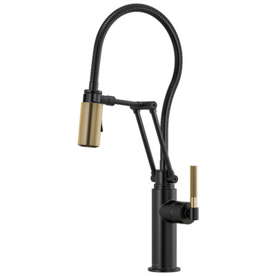 Litze® Articulating Faucet with Finished Hose