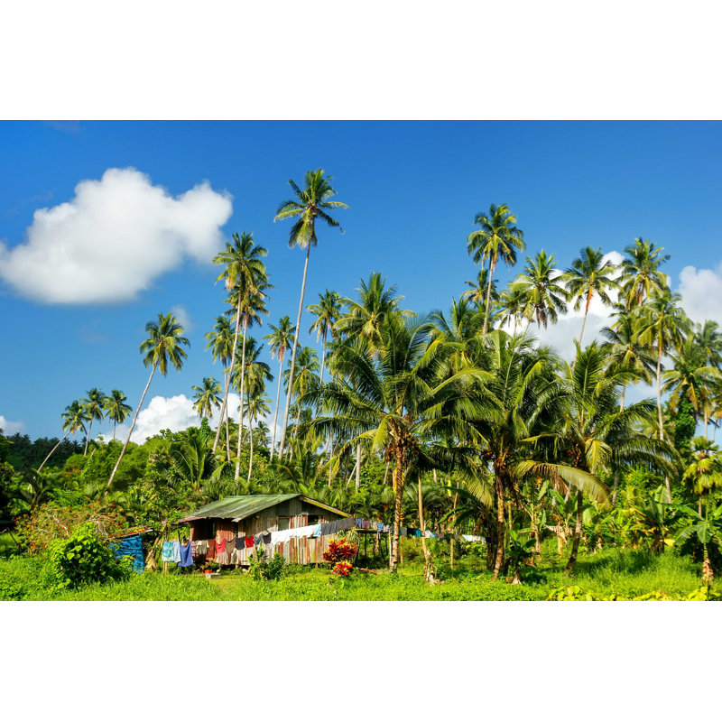 Île de Taveuni, Fidji - Photographie sur toile tendue, H 8 po x l 12 po