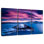 Lac mauve Alvord, ciel mauve