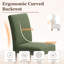 Chaise de salle à manger rembourrée en tissu Oakridge avec pieds en bois d'hévéa massif et coussin en mousse haute densité Oakridge-422646040