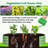 Galvanized Raised Garden Bed With 71In Arch Trellis For Climbing Plants-1934175714