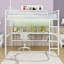 Metal Loft Bed With Power Outlet And LED Lighted