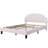 Queen Size Upholstered Platform Bed With Flower Pattern Velvet Headboard-114246929