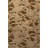 Brown-Toned Raccoon Patterned Creative Modern Decorative Rug-334235935