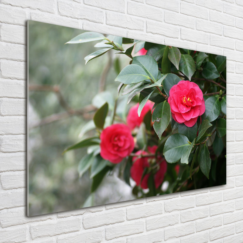 Camellia - No Frame Print on Glass