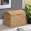 Coffre de rangement robuste en jacinthe d'eau tressée, avec structure métallique et couvercle arqué, 40,6 cm (H) x 36,8 cm (P) x 52,1 cm (L), naturel