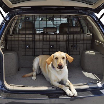 Barrière de voiture pour animaux