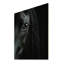 Cheval noir noir avec ombres mystérieuses sur bois-1228123271