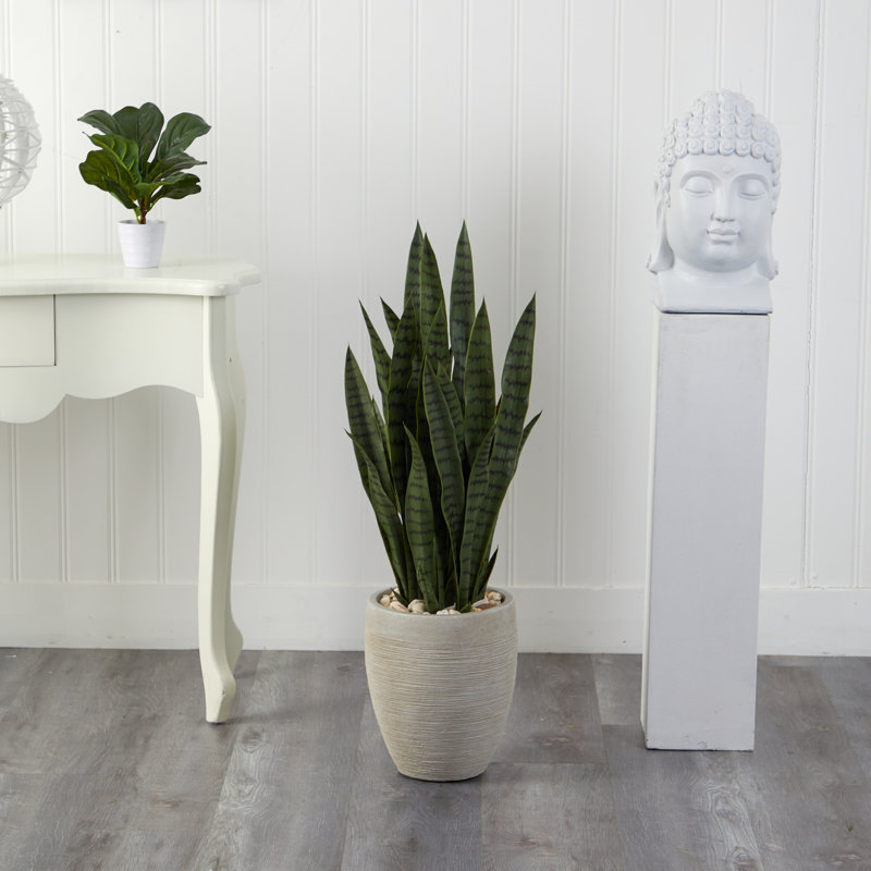 Plante de serpent artificielle en pot, H 40 po x l 13 po x P 13 po, Vert, Beige