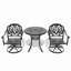 Ensemble de salle à manger 3 pièces en aluminium coulé toutes saisons comprenant 2 chaises pivotantes et une table ronde de 30,71 po avec cadre-1613146012