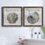 «Shell Gather», ensemble de 2 impressions sur toile-588703955-588703964