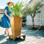 Jardinières en pot-428178296
