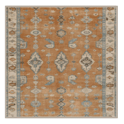 Machine Washable Overdyed Brown Area Rug