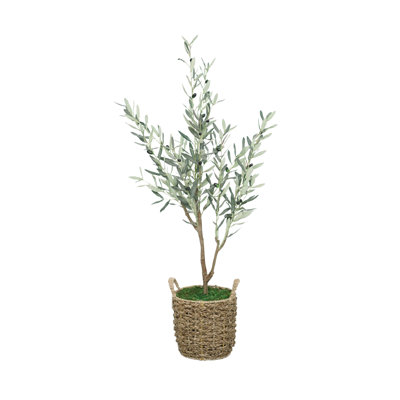 Arbre de 52 po dans un panier en ruppie maritime naturelle