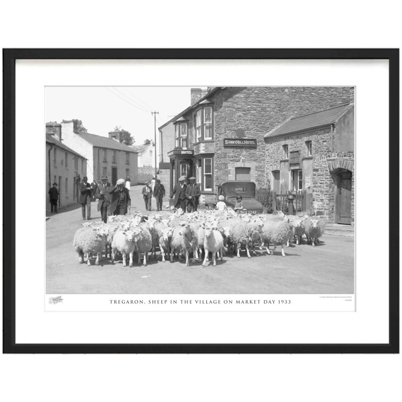 Tregaron, Sheep In The Village On Market Day 1933 by Francis Frith - Single Picture Frame Print, 60cm H x 80cm W x 2.3cm D