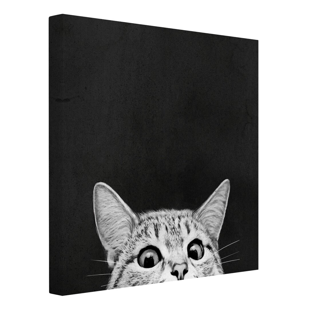 Leinwandbild Illustration Katze